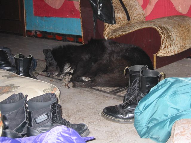 20040226_0017.jpg - click for next picture