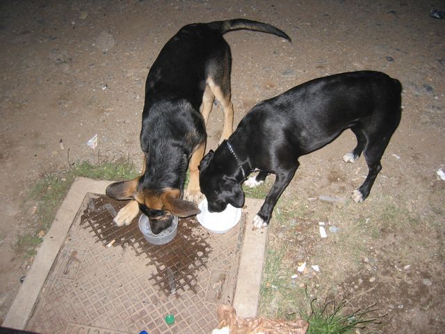 20040703_0018.jpg - click for next picture