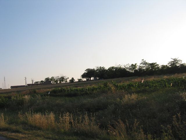 20040706_0019.jpg - click for next picture