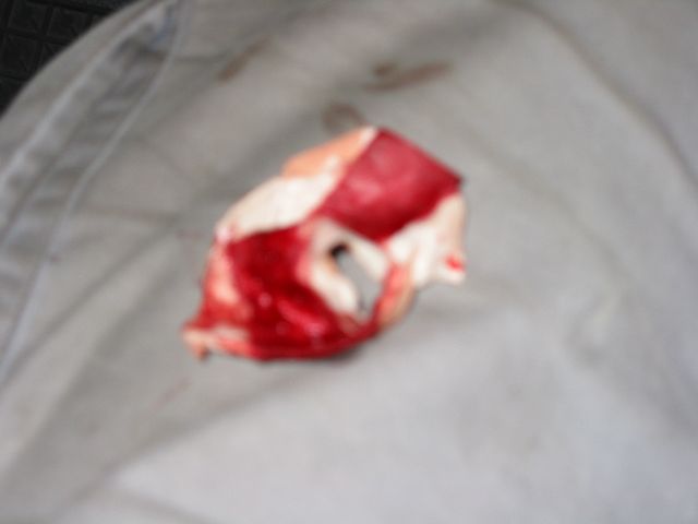 20040708_0041.jpg - click for next picture