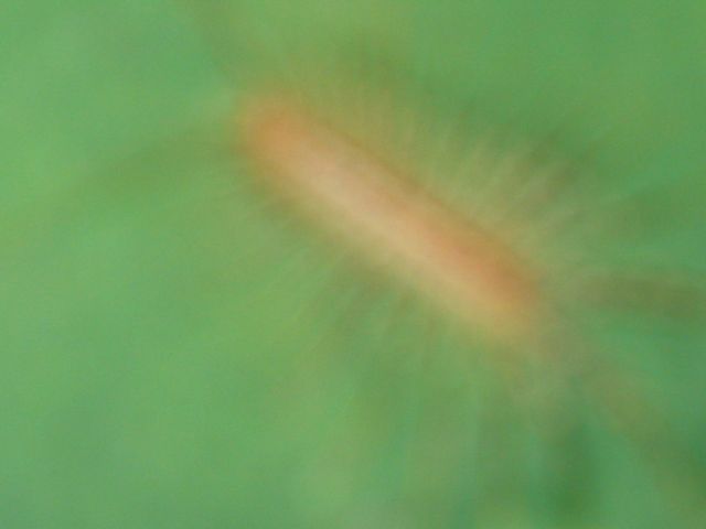 20040710_0001.jpg - click for next picture