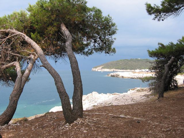 20040807_0063.jpg - click for next picture