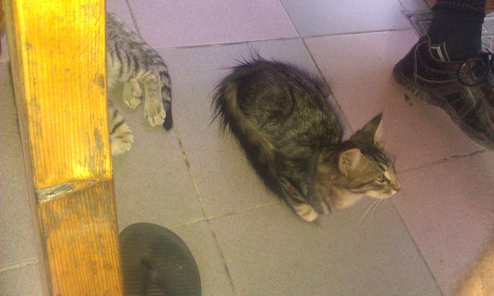 20120802_0006.jpg - click for next picture