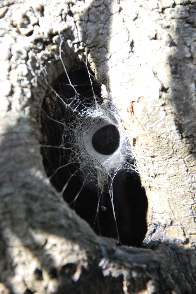 20120802_0027.jpg - click for next picture