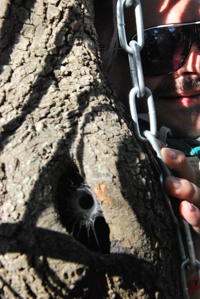 20120802_0028.jpg - click for next picture