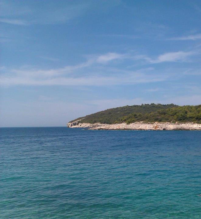 20120802_0051.jpg - click for next picture